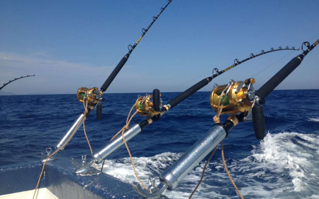 Être en recherche d’emploi : la stratégie de la pêche à la ligne